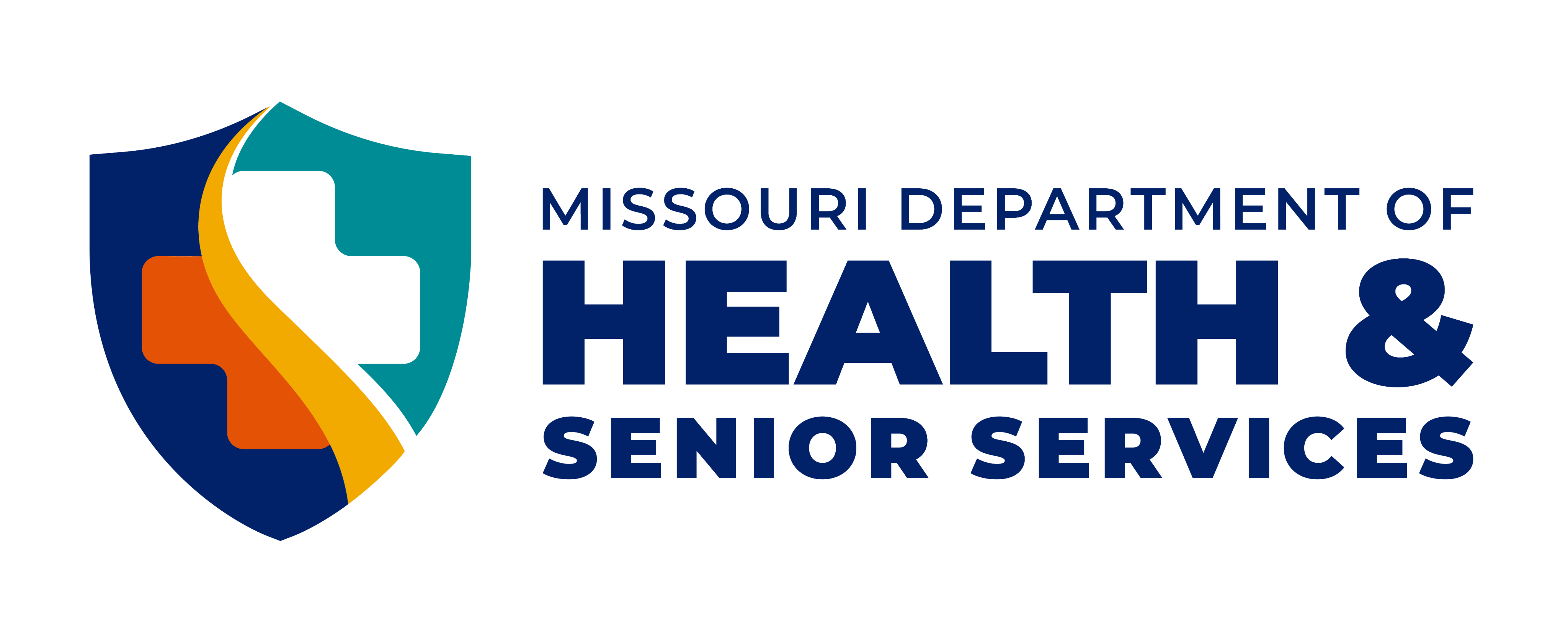 DHSS Logo
